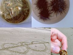 -沙扒湾