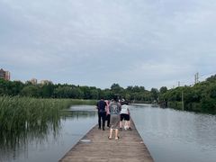 -前关湿地公园