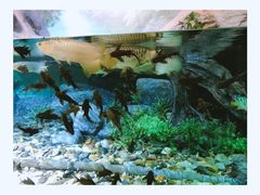 -福州罗源湾海洋世界旅游区