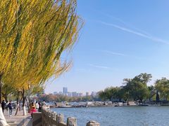 -济南大明湖景区