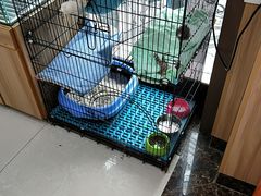 -瑞鹏宠物医院·猫科·宠保定点(梅溪湖分院)