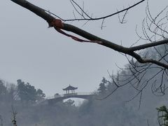 -句容茅山景区