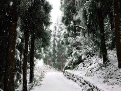 景点-九峰山