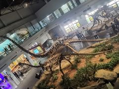 -自贡恐龙博物馆