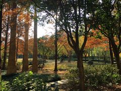 -苏州河梦清园环保主题公园