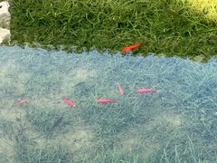 -雅达·阳羡溪山小镇中心