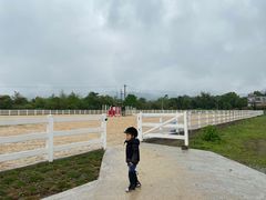 -重庆和泰马术俱乐部