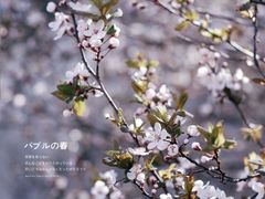 -龙洞风景区-藏龙涧