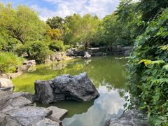 -上海吴淞炮台湾国家湿地公园