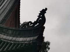 -天台山景区