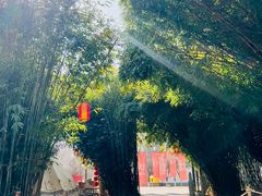 -西苑公园