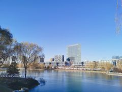 -大兴滨河森林公园