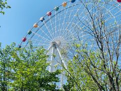 -半天妖烤鱼(芝罘万达店)