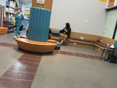 -联合动物医院(光谷诊疗中心)