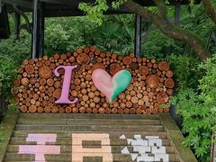-天目湖山水园