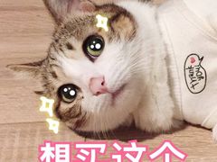 -西关老字号钵仔糕(上下九宝华路店)