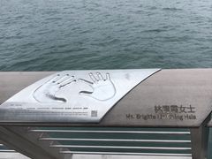 -星光大道