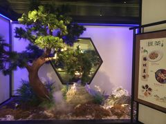 -绿茶餐厅(成都大悦城店)