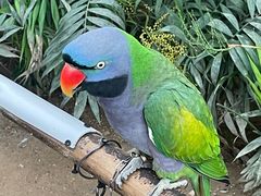 -南宫五洲植物乐园