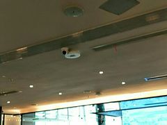 大堂-新白鹿餐厅(虹桥南丰城店)