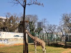 -昆明动物园