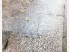 -汝萍传统蘸水菜(春华路总店)