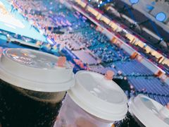 -南京奥林匹克体育中心-体育馆