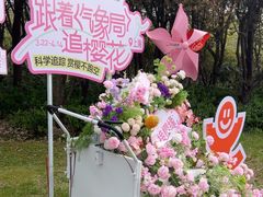 -顾村公园