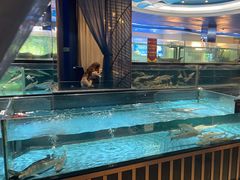 -都市阳光海鲜城(青山湖店)
