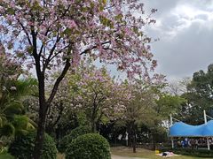 -海珠儿童公园