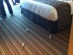 床-苏州金鸡湖中茵皇冠假日酒店