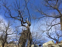 -阳台山自然风景区