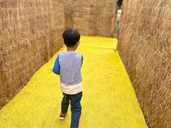 -中国天府农业博览园