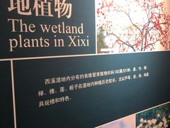 -中国湿地博物馆