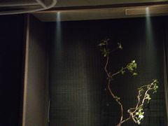 -臻品足道(佛祖岭店)