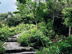 -龙坞茶村