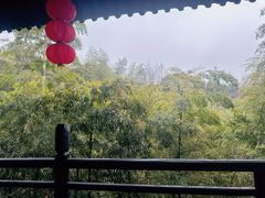 -大唐贡茶院