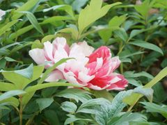 -幕燕滨江·长江观音景区