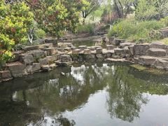 -范蠡湖公园