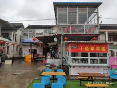 -小鱼草莓采摘园农家乐·小鱼餐厅