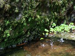 -楠溪江风景名胜区