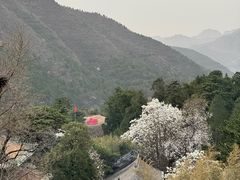 -潭柘寺景区