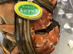 -叶氏大快活酒楼·佛山老字号