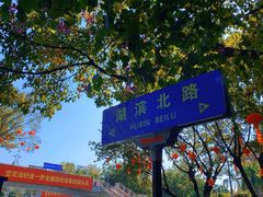 -时光花园(白鹭洲店)