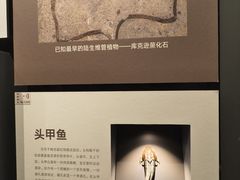 -四川大学博物馆