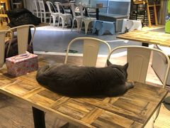 大堂-小时光咖啡馆(开森度假森林店)