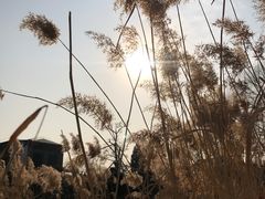 -郭守敬纪念馆