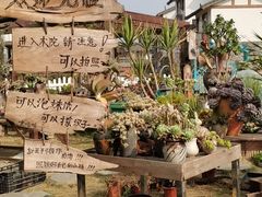 -空港花田景区
