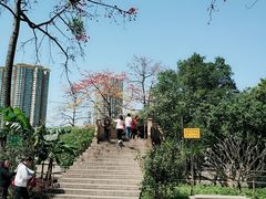 -晓港公园
