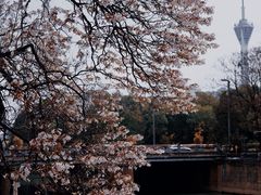 -红星桥(地铁站)